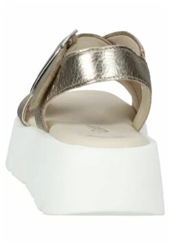 Gabor Sandalias - Puder -Gabor Tienda 08f02f6e0bd142a0803d1aa172781aed