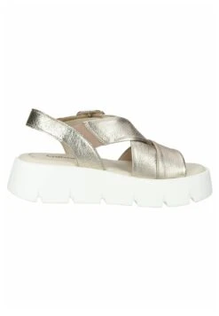 Gabor Sandalias - Puder -Gabor Tienda 18fb04011b8949bc9b3d63888751d25e