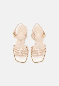 Gabor Comfort Sandalias - Muschel/Gold -Gabor Tienda 73941038692e49bda22cb4c1977d9c35